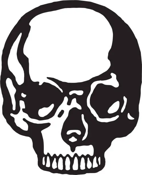 Vector illustration of Skull