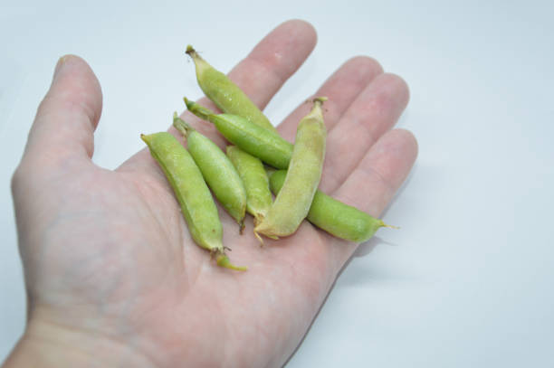 istock Young and ripe green peas on a the white background 1328182943