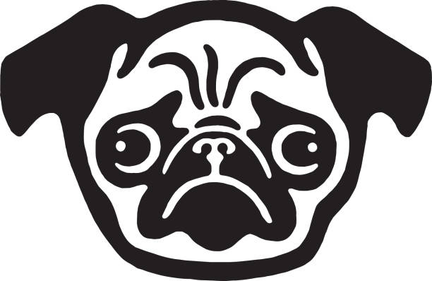 Pug Dog Face Pug Dog Face pug stock illustrations