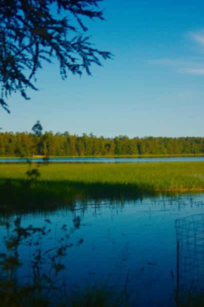 istock Itasca State Park - Mississippi Headwaters Lake Itasca 1328186092