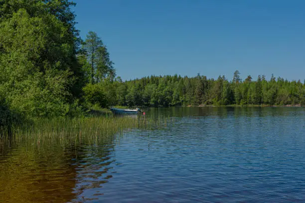 Photo of Forest around a small bay of a lake with a moored boat..