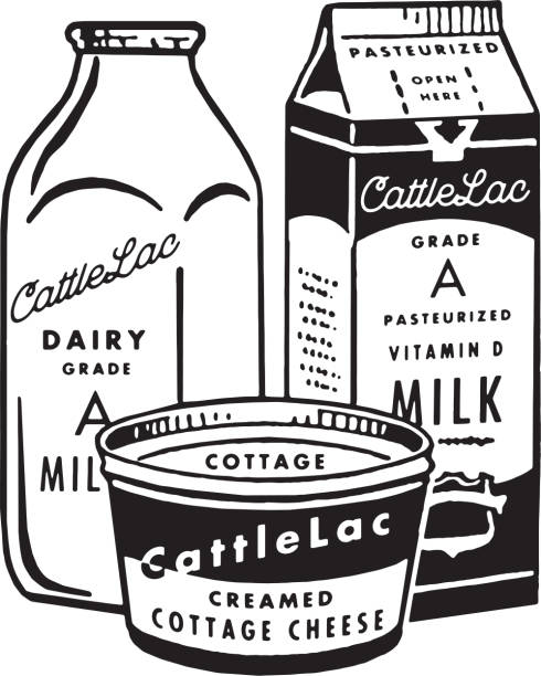 Dairy Products Dairy Products cottage cheese stock illustrations