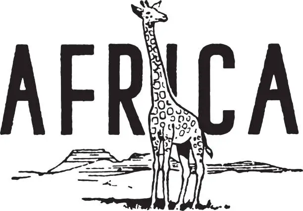 Vector illustration of African Giraffe