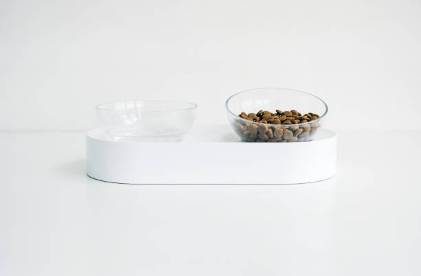 istock White bowl for dog or cat with feed and water isolated on white background. 1328190281