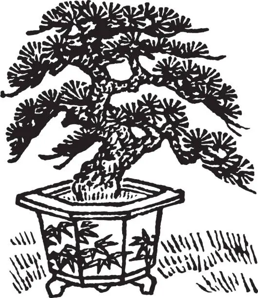 Vector illustration of Bonsai Tree