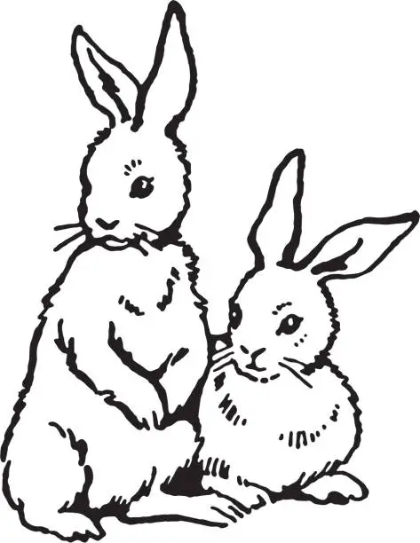 Vector illustration of Two Rabbits