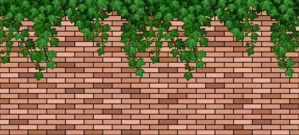 Free cartoon brick wall Clipart | FreeImages