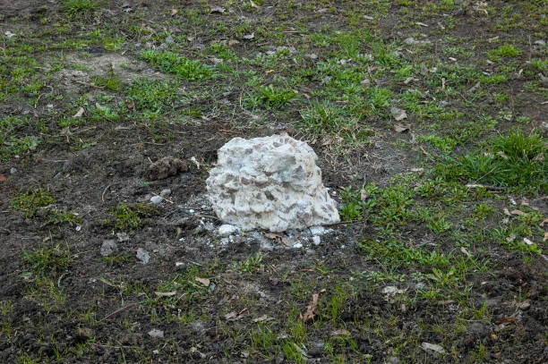 istock a white piece of concrete on green spring grass 1328192551