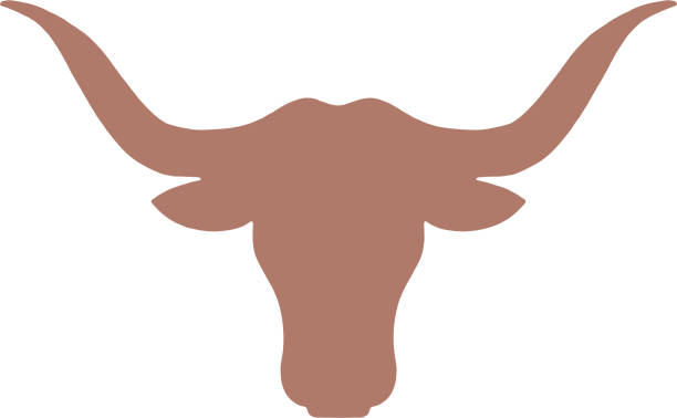 illustrazioni stock, clip art, cartoni animati e icone di tendenza di icona di bull - texas longhorn cattle horned cattle farm