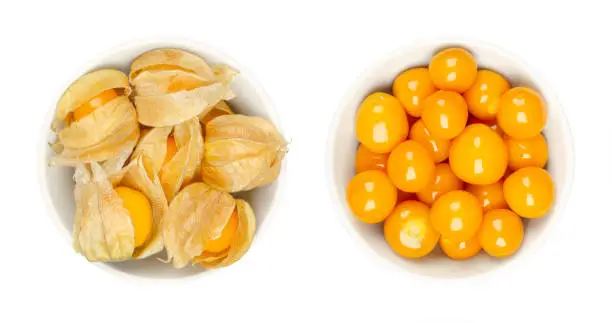 Cape gooseberries, with and without calyx, in white bowls. Fresh fruits of Physalis peruviana, also golden, inca and ground berry, uchuva, poha, and rasbhari. A garnish, snack and dessert. Food photo.