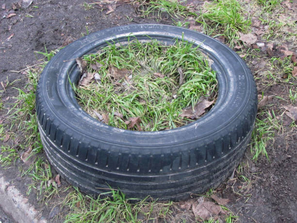istock grass grows in an old car tire 1328192637