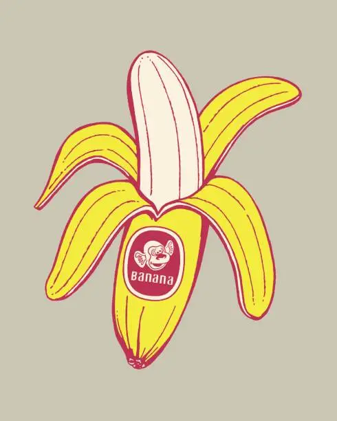 Vector illustration of Banana