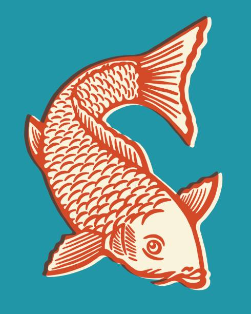 물고기 - color image colored background blue background animal stock illustrations