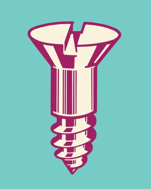 Vector illustration of Screw