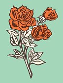 istock Roses 1328194285
