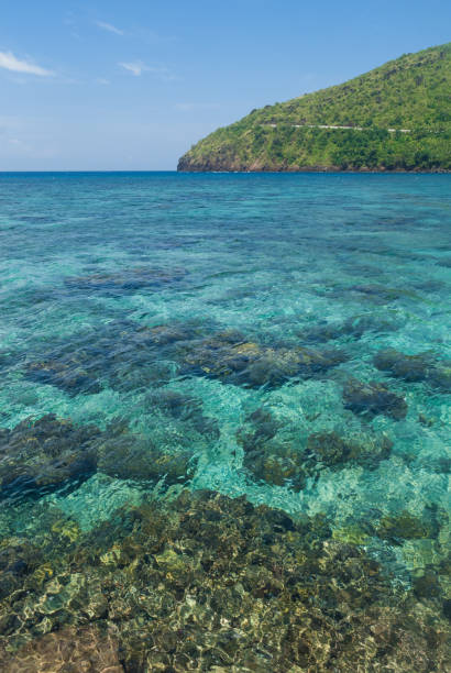 istock coral reef and sea 1328194357