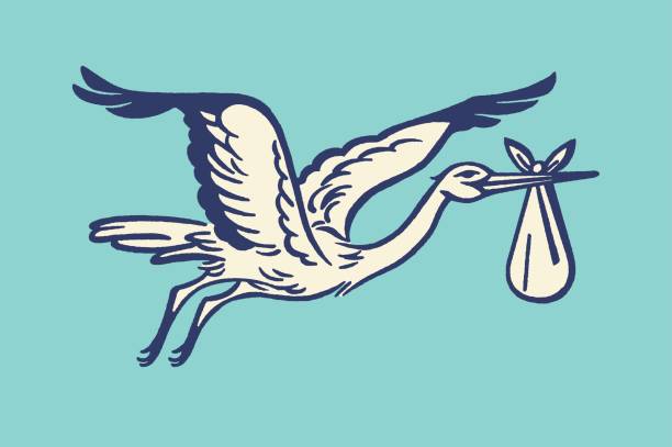 Stork Carrying a Bundle Stork Carrying a Bundle baby shower stock illustrations
