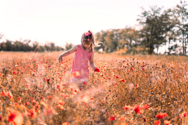 花畑で幸せな白人の小さな女の子。ケシ畑の子供 - field poppy single flower flower ストックフ�ォトと画像