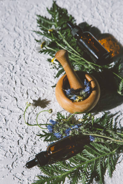 istock field healing herbs, healing herbs concept 1328194577