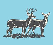 istock Two Deer 1328197346