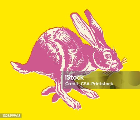 istock Running Rabbit 1328199418