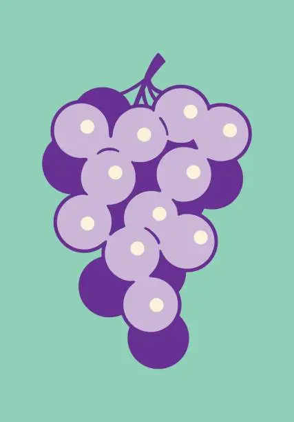 Vector illustration of Bunch of Grapes