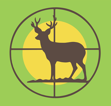 Deer in Crosshairs