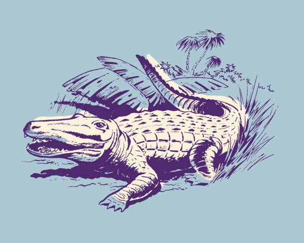 Crocodile on Savannah Crocodile on Savannah alligator stock illustrations