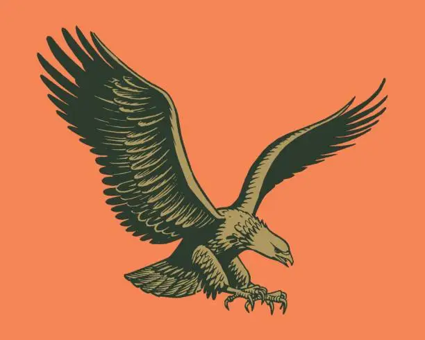 Vector illustration of Eagle in flight