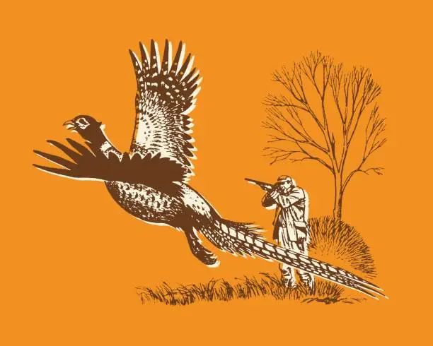 Vector illustration of View of hunter shooting to flying pheasant