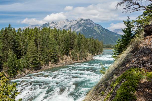 istock Mountain river and waterfall. Bow River in Banff National. beautiful nature, mountain river. river and mountains. 1328202773