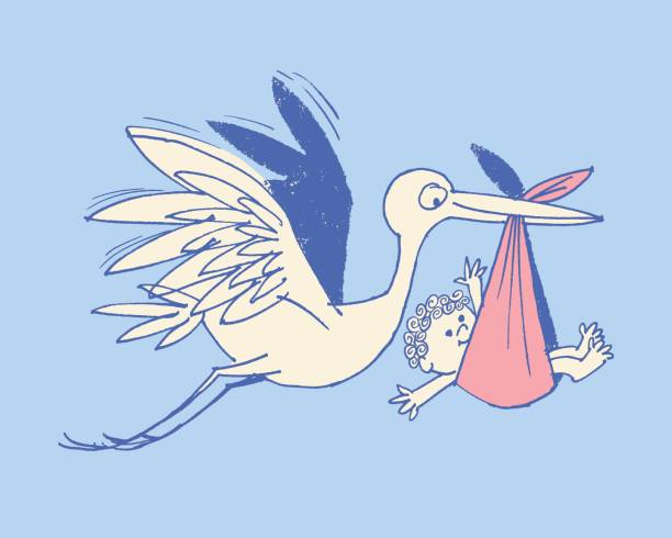 Illustration of stork delivering baby Illustration of stork delivering baby stork stock illustrations