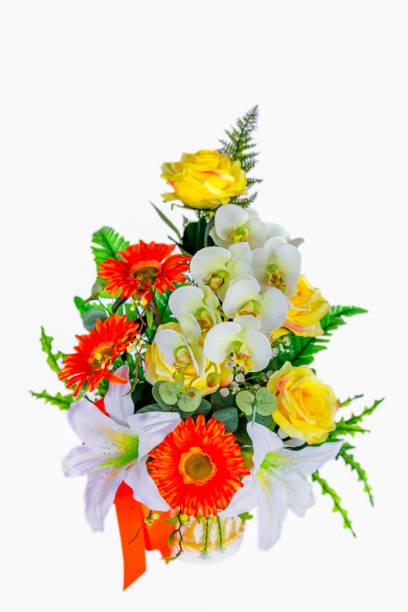 istock Flower, White Background, Daisy, Cut Out, White Color 1328204333