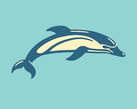 Dolphin