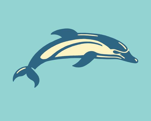 Dolphin Dolphin dolphin stock illustrations