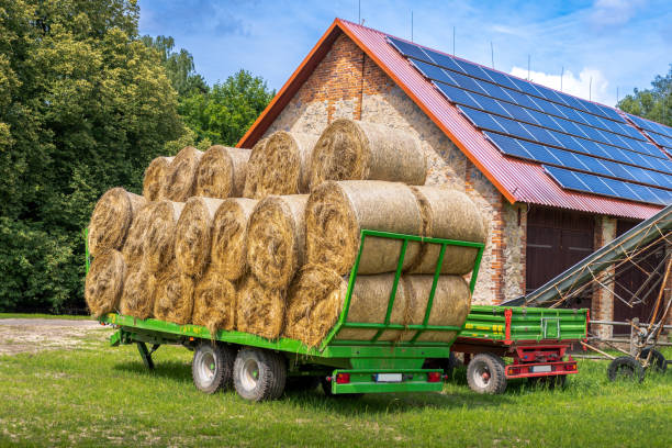 зеленый трейлер, заполненный тюками сена, припаркован в передней части кирпичного сарая на ферме. солнечные панели установлены на крыше ко� - bale hay field stack стоковые фото и изображения