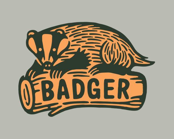 Badger on a Log Badger on a Log badger stock illustrations