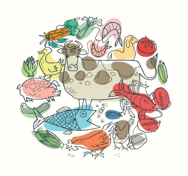 ilustrações, clipart, desenhos animados e ícones de carnes e frutos do mar - chicken fish beef pig