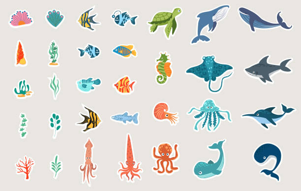 Cartoon sea animals. Cute turtle, whale, dolphin, octopus and colorful fishes. Childish colored flat cartoon vector illustration isolated on white background Cartoon sea animals. Cute turtle, whale, dolphin, octopus and colorful fishes. animal stickers stock illustrations