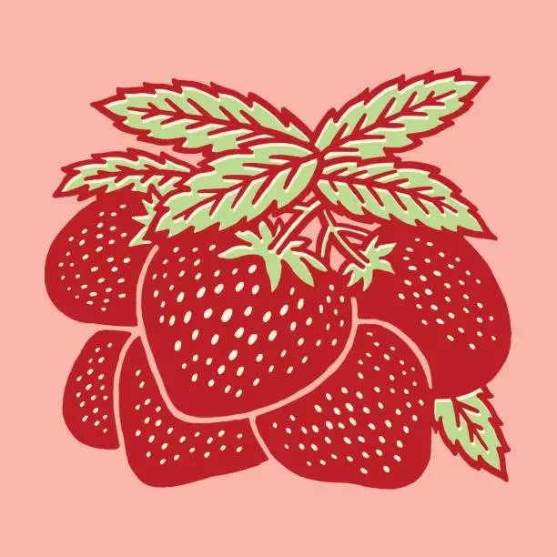 Vector illustration of Strawberries