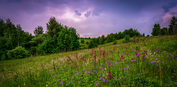 A summer landscape with wildflowers blooming on the slope of a ravine and a stormy sky.