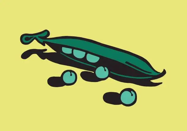 Vector illustration of Peapod and Peas