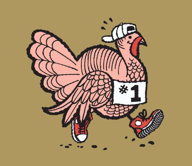 Turkeys Racing Large Image 140+ Turkey Trot Race Stock Illustrations, Royalty-Free Vector Graphics ...