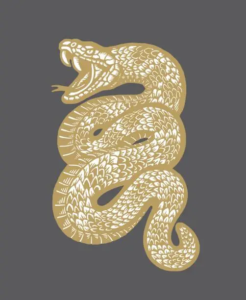 Vector illustration of Snake