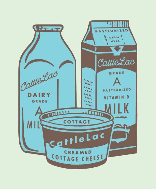 Dairy Products Dairy Products cottage cheese stock illustrations