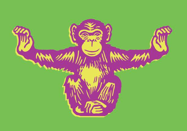 Chimpanzee with Arms Spread Apart Chimpanzee with Arms Spread Apart monkey illustrations stock illustrations