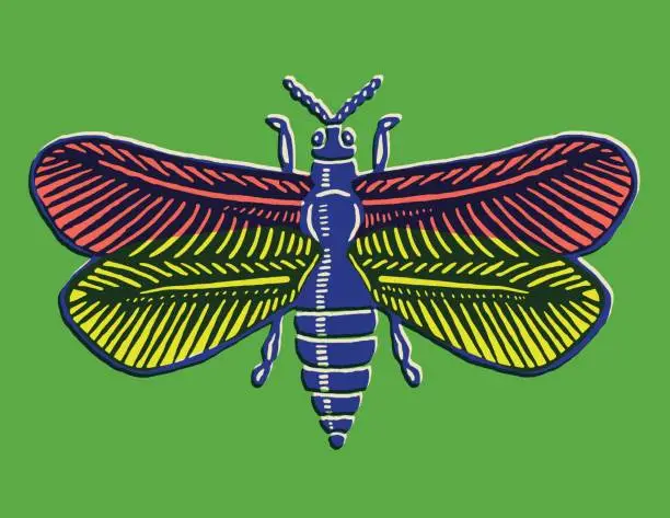 Vector illustration of Insect