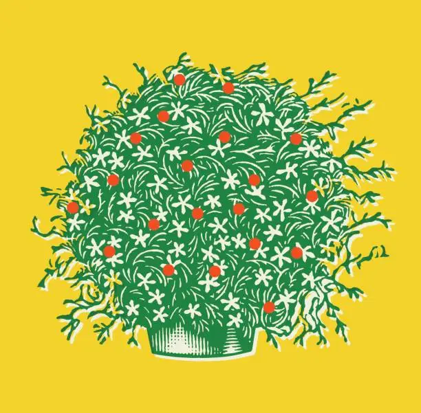 Vector illustration of Flowering Plant