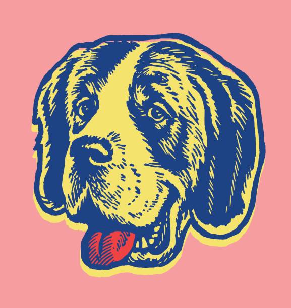 ilustrações, clipart, desenhos animados e ícones de são bernardo - animal tongue