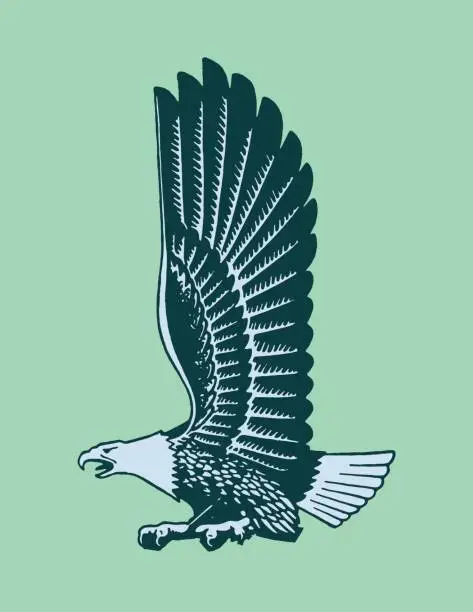 Vector illustration of Soon Eagle